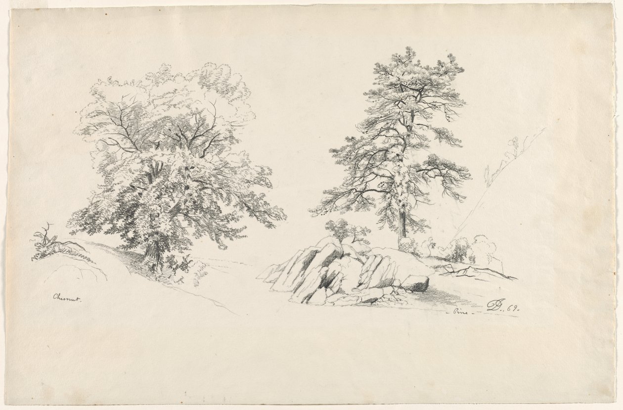 Kastanje og furu, 1869. av David Johnson