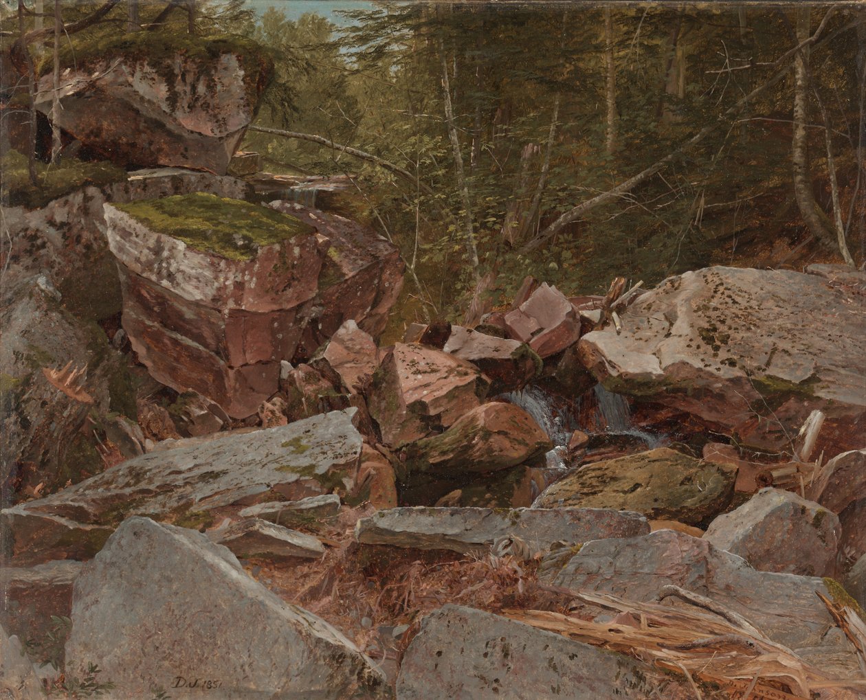 Study, North Conway, New Hampshire, 1851 av David Johnson