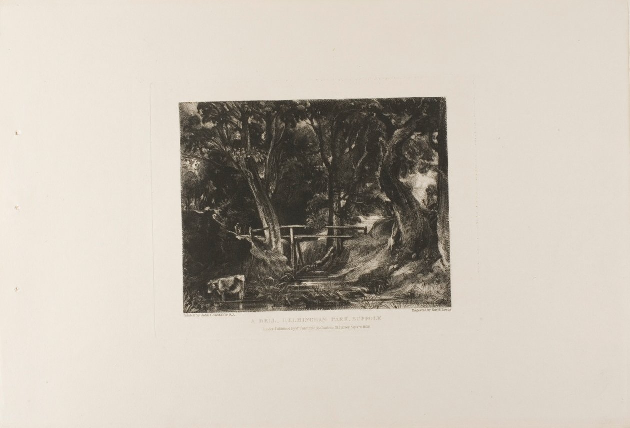 A Dell, Helmingham Park, Suffolk av David Lucas