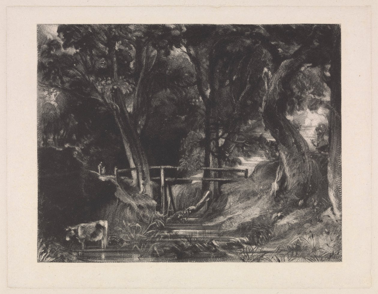 A Dell, Helmingham Park, Suffolk av David Lucas