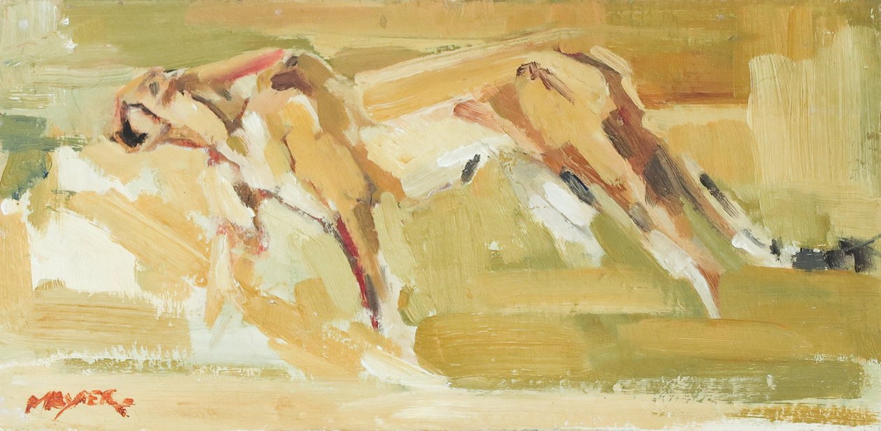  av David Mayer