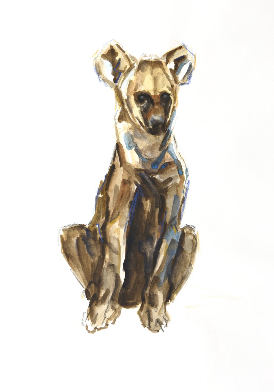Hyenevalp, 2020 (akvarell, fargestift og gouache på papir) av David Mayer