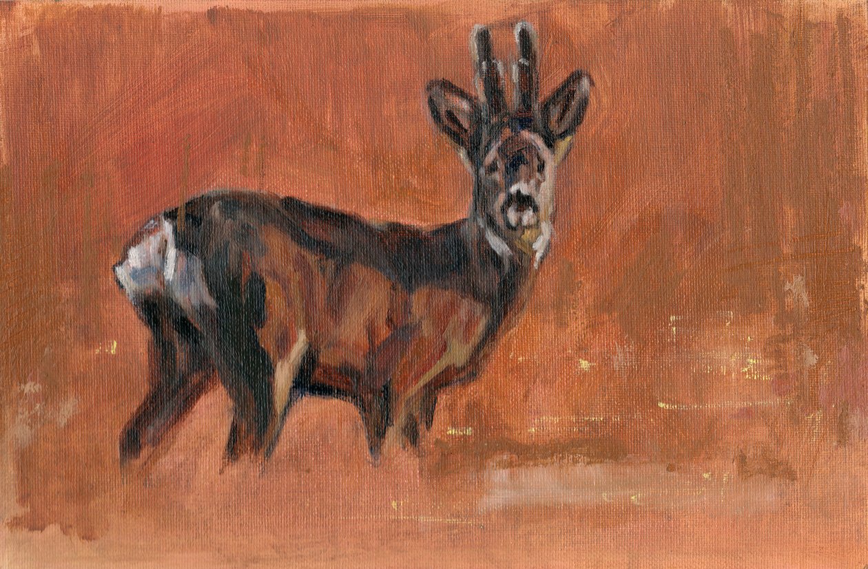 Roe Buck, 2021 av David Mayer