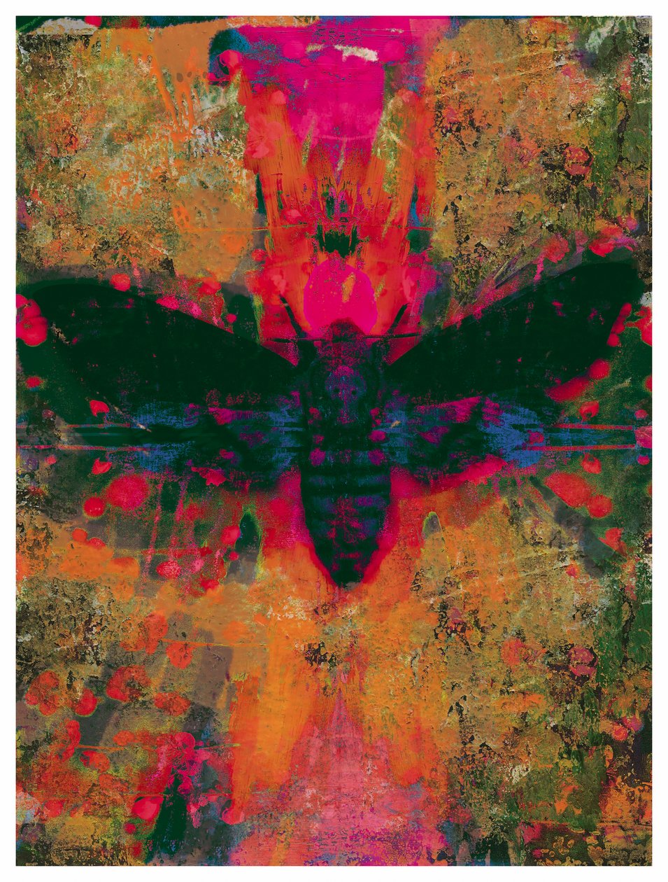 Death Moth Collage, 2016 (Collage on Paper) av David McConochie