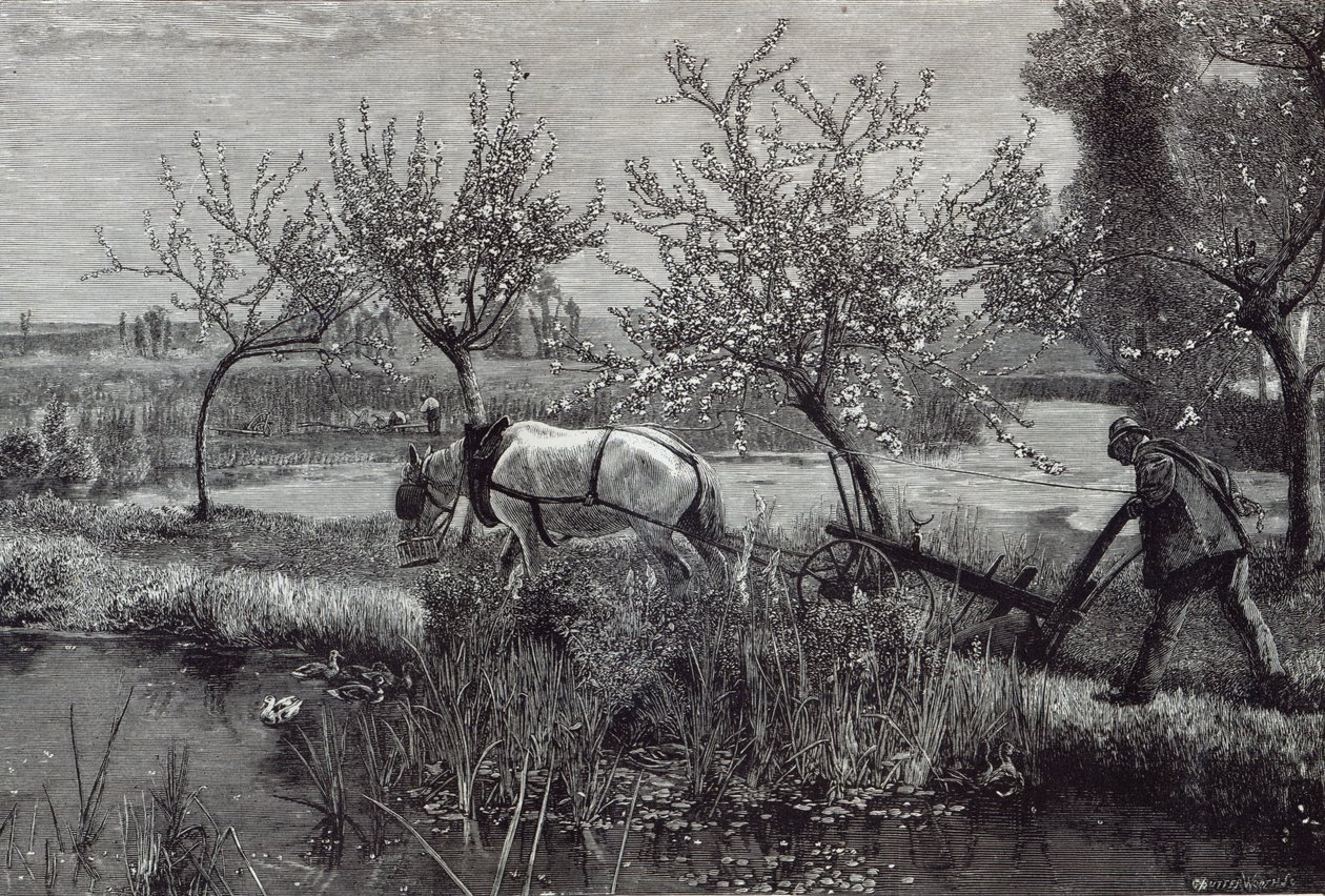 'En liten gård godt dyrket', Picardie, fra 'Leisure Hour', 1888 av David Murray
