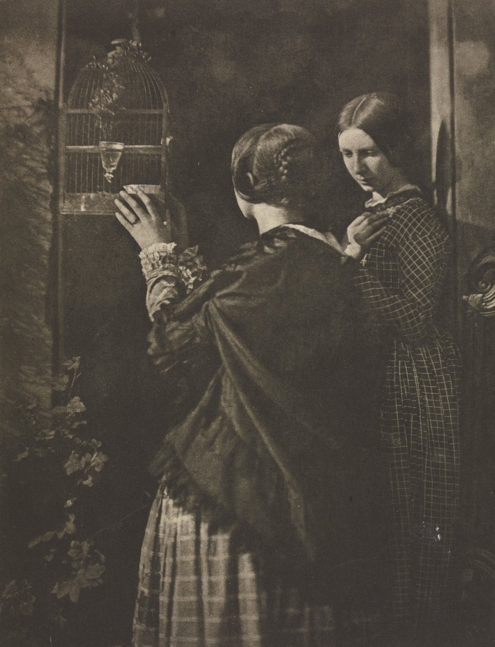 Kameraarbeid: The Bird-Cage, 1909. av David Octavius Hill