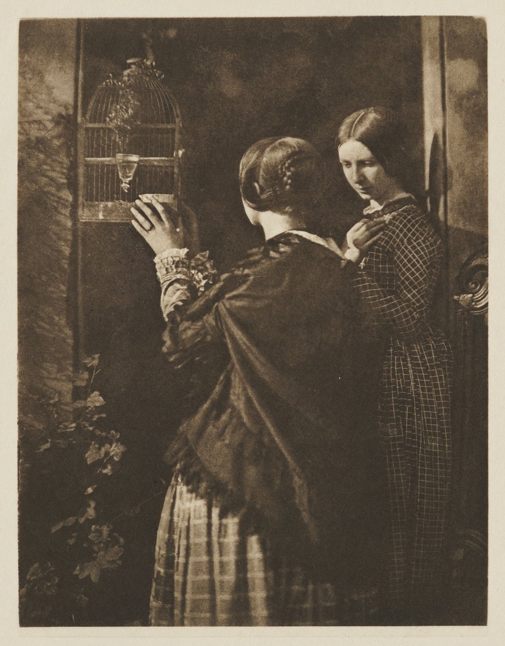 Fugleburet av David Octavius Hill