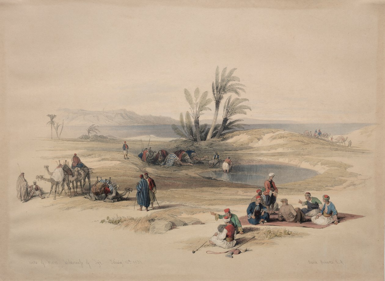 Moses' brønner, Tyhs villmark av David Roberts