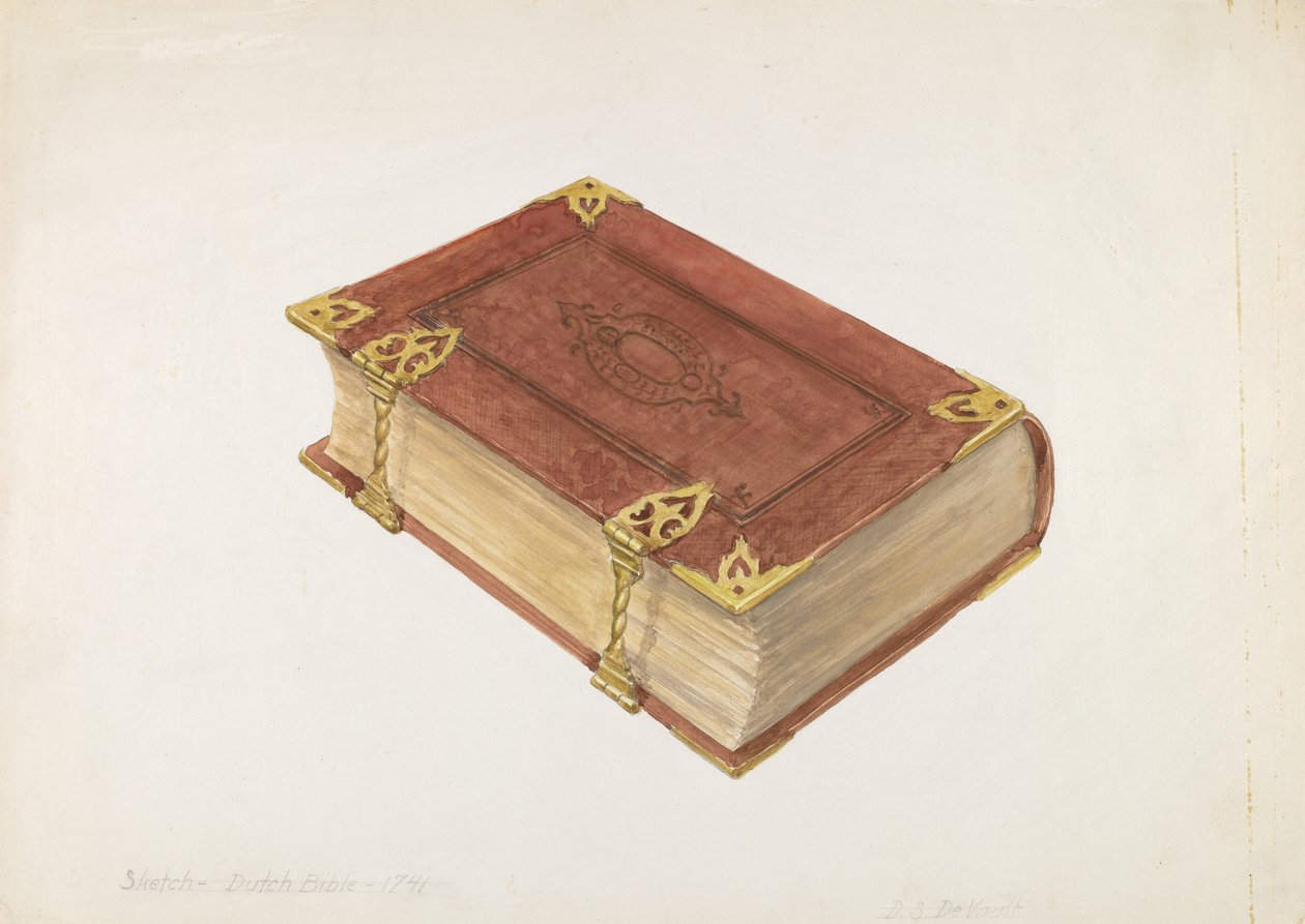 nederlandsk bibel av David S. De Vault