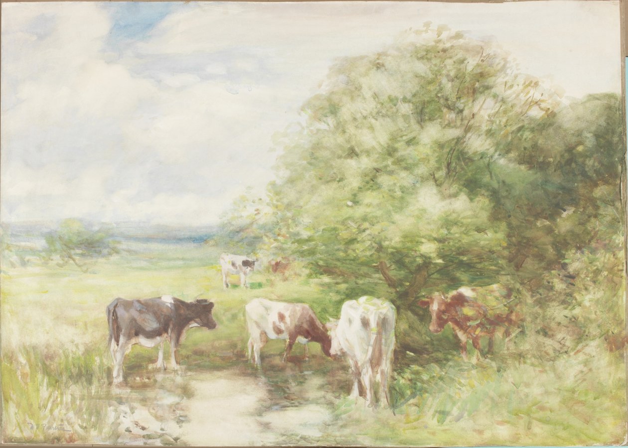 The Shady Pool (akvarell på papir på kort) av David T. Robertson