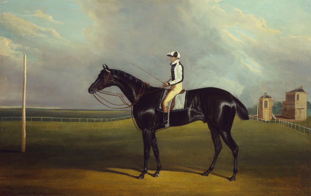 Mr R.O. Gascoignes "Jerry" med B. Smith oppe på Doncaster Racecourse av David of York Dalby