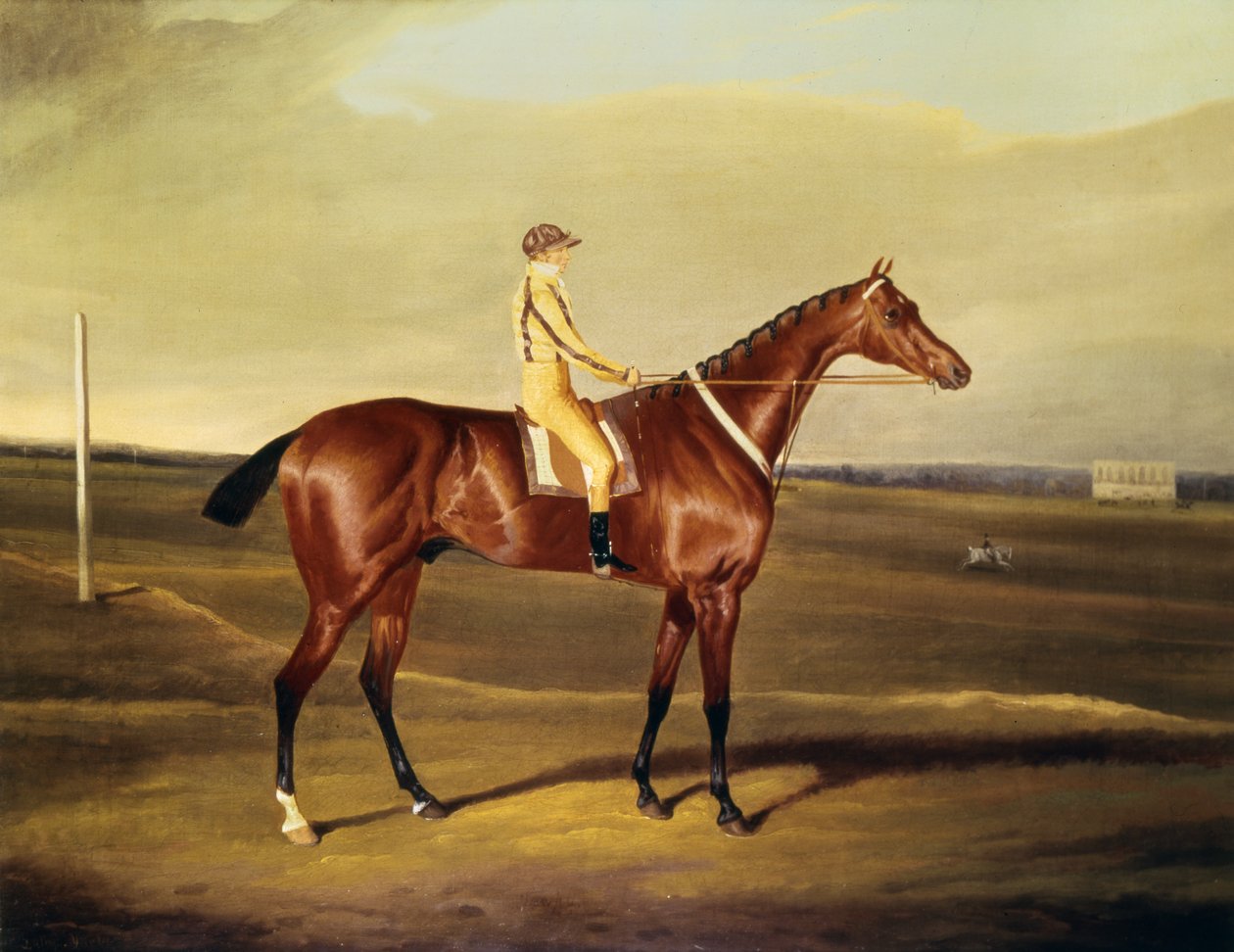 The Hon. Robert Grosvenors Tawpy av David of York Dalby