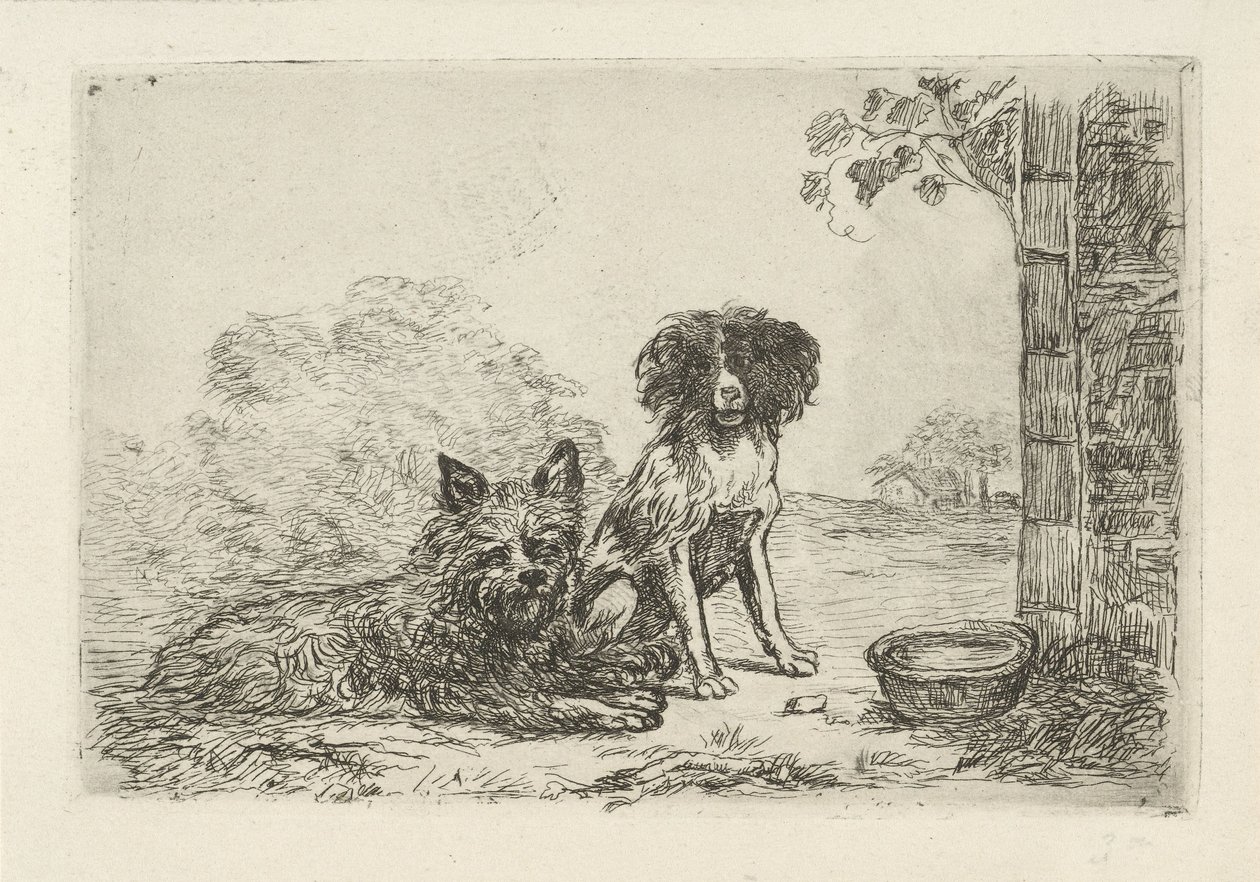 To hunder av David van der Kellen
