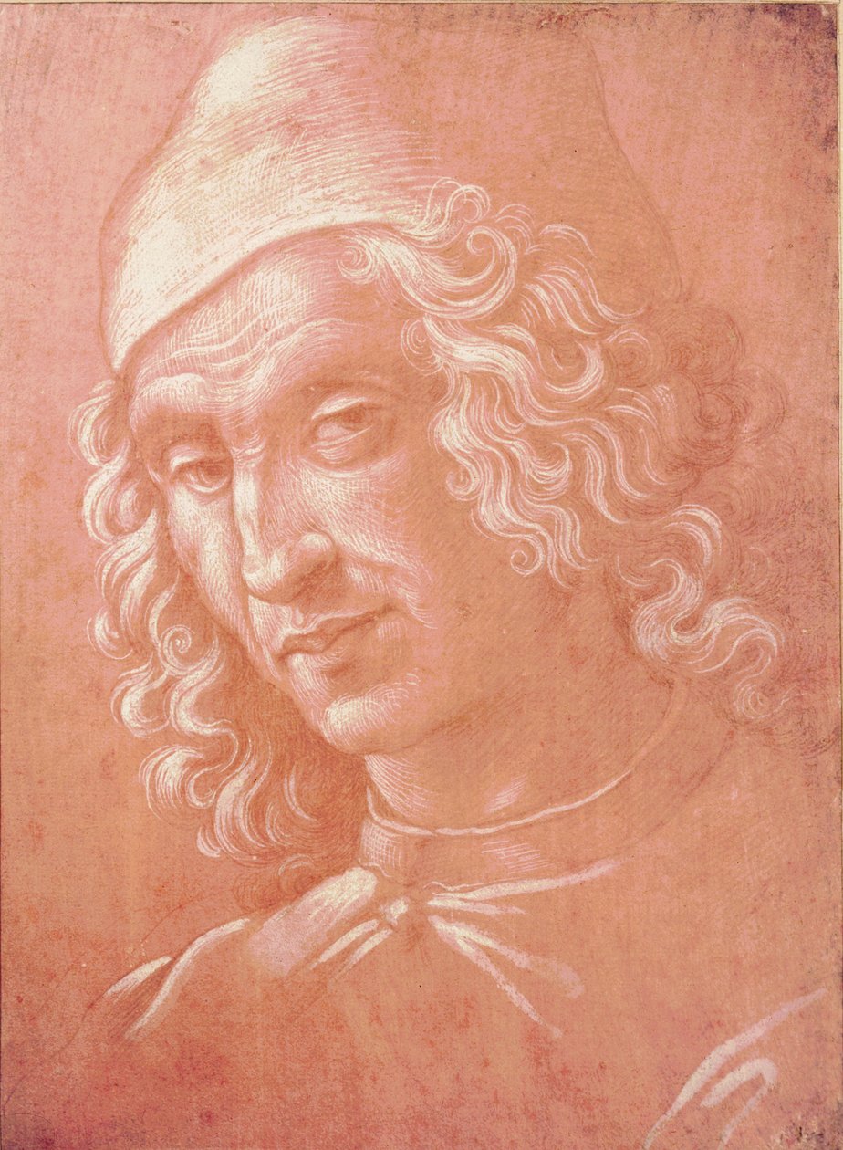 Head of a Man (sølvpunkt på papir) av Davide Ghirlandaio