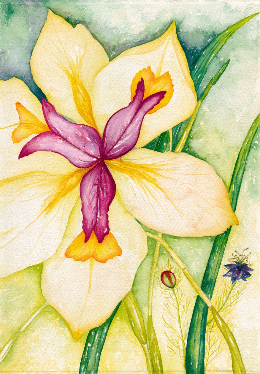 Lily og venner, 2007 (akvarell) av Deborah Eve Alastra