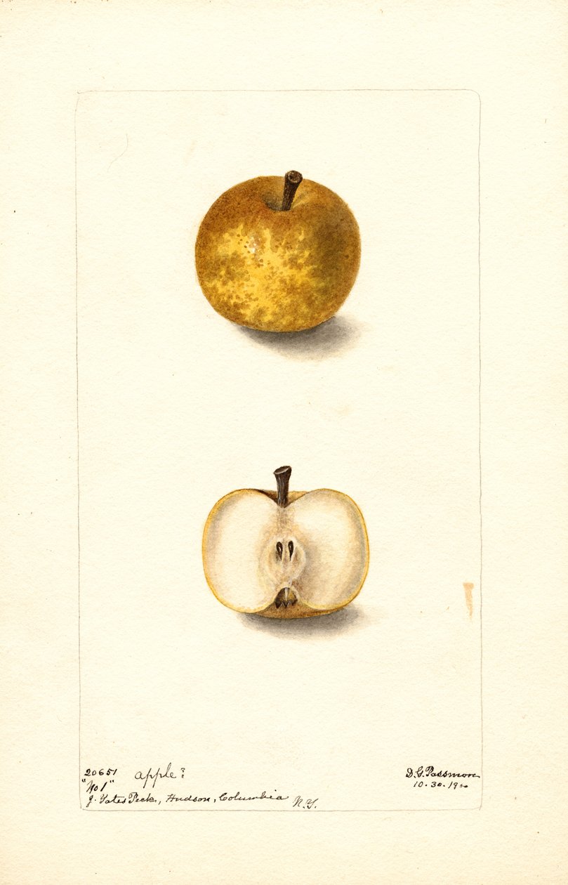  av Deborah Griscom Passmore