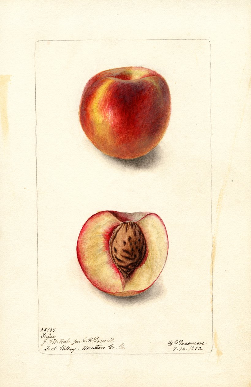  av Deborah Griscom Passmore
