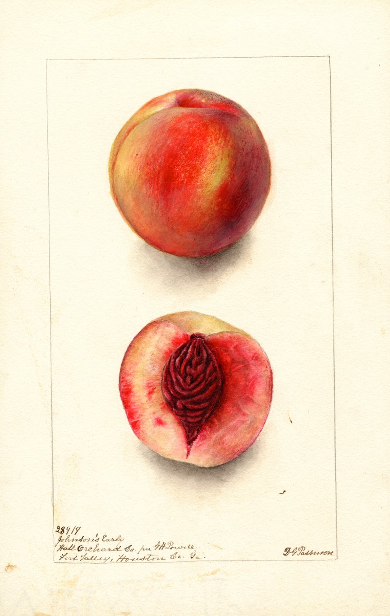  av Deborah Griscom Passmore