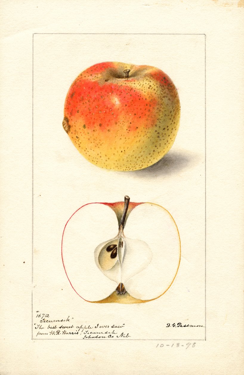  av Deborah Griscom Passmore
