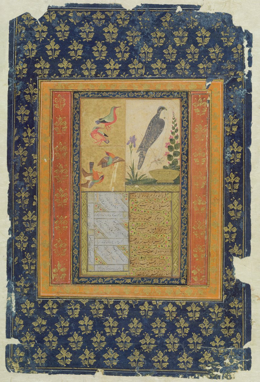 Fuglestudie og kalligrafi, Golconda, Andhra Pradesh, 1570, (gouache, blekk og gull på papir med dekorert kant) av Deccani School