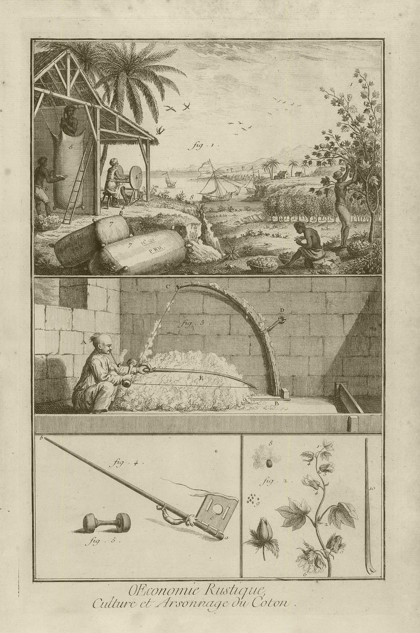 Cotton Field i Amerika; Tresking med bue; Bomullsplante (tittel), 1762 av Denis Diderot