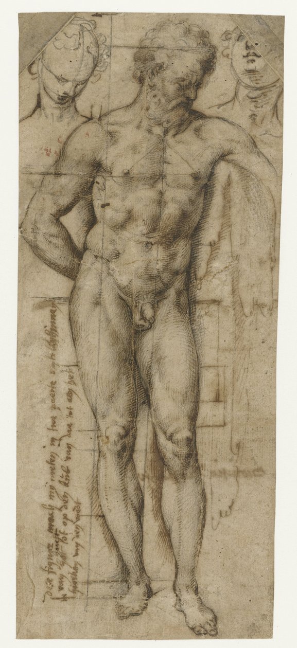 Studie av en naken mann (Hercules?) og to kvinners hoder av Denys Calvaert