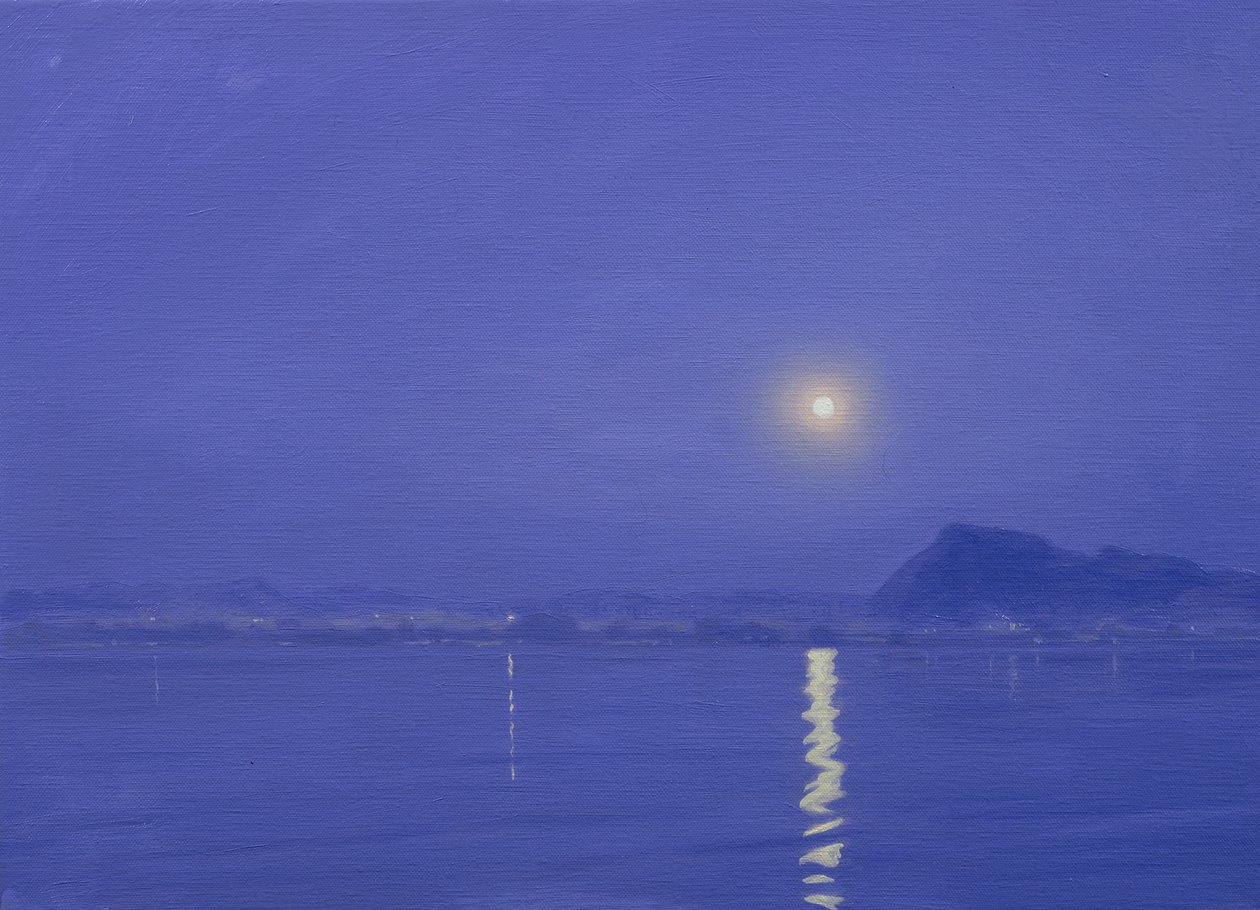 Måneskinn over Udaipur av Derek Hare
