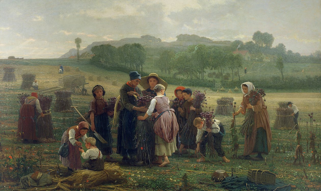 Høsting av valmuer i Picardie, 1860 av Desire Francois Laugee