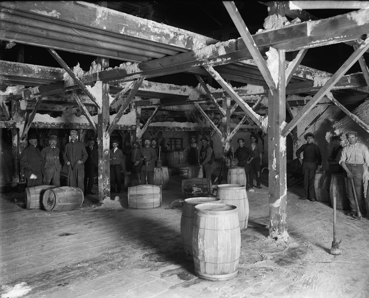Del Ray Salt Co., ca. 1900-20 av Detroit Publishing Co.