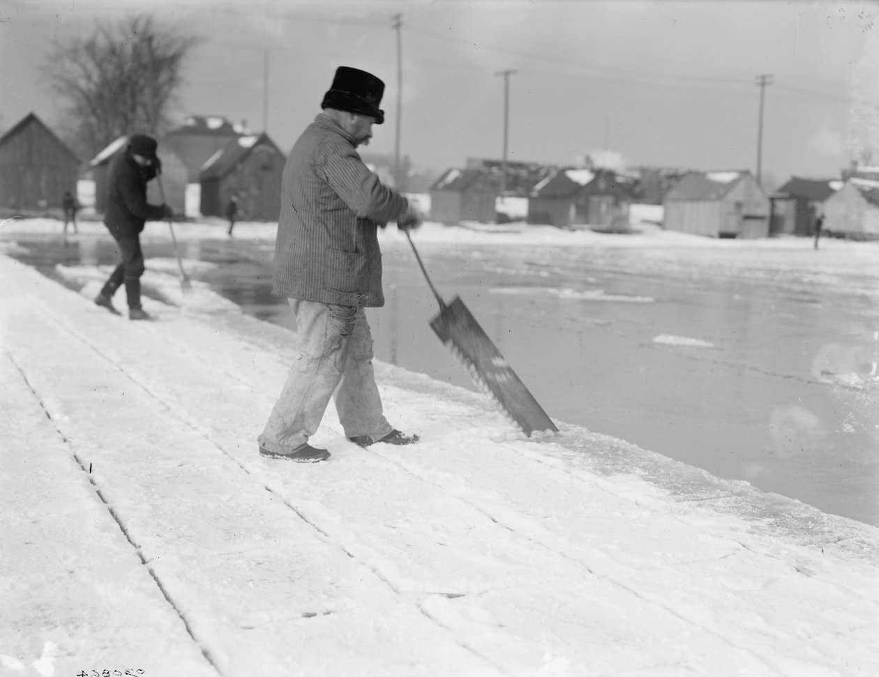 Ishøsting, saging, ca.1900-10 av Detroit Publishing Co.