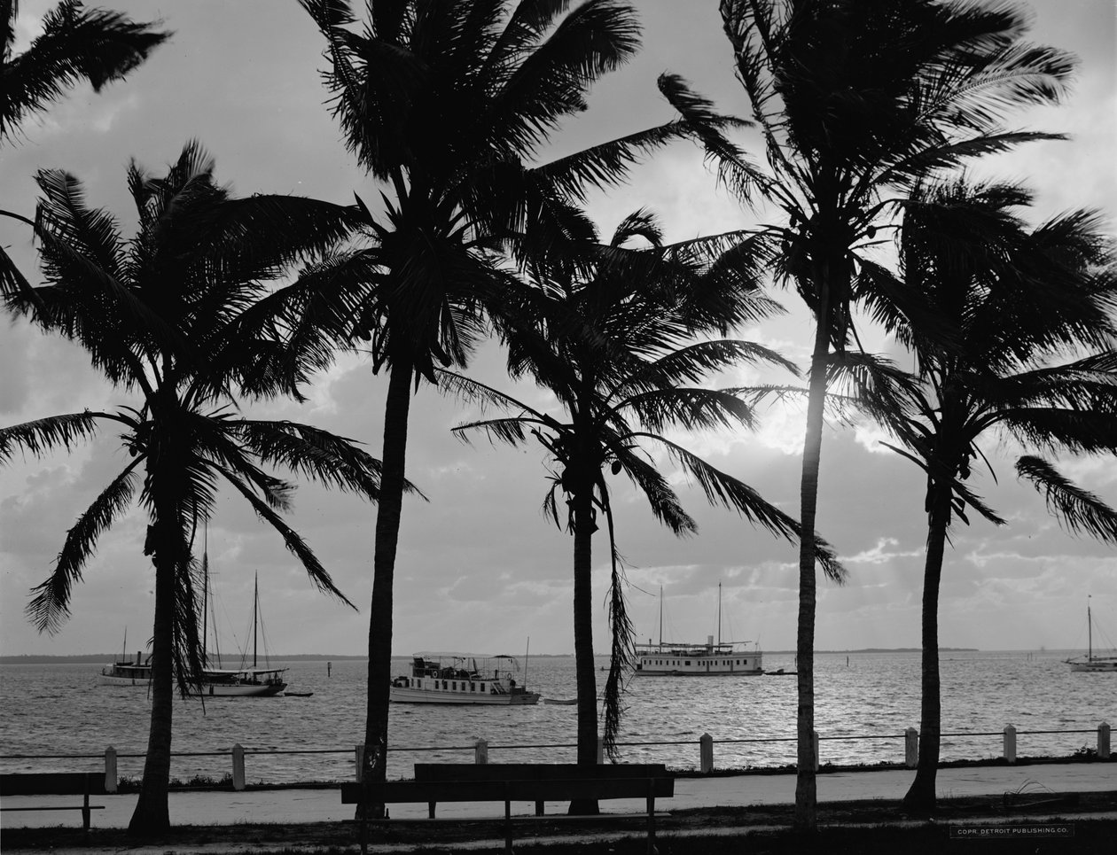 Sunset, Biscayne Bay, Miami, Florida, ca. 1910-20 av Detroit Publishing Co.