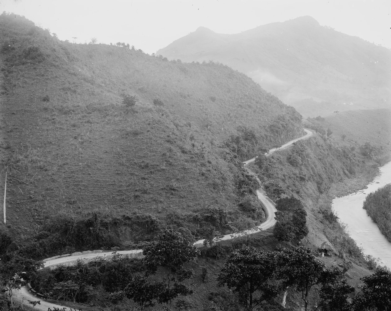 The Military Road, Puerto Rico, ca. 1903 av Detroit Publishing Co.