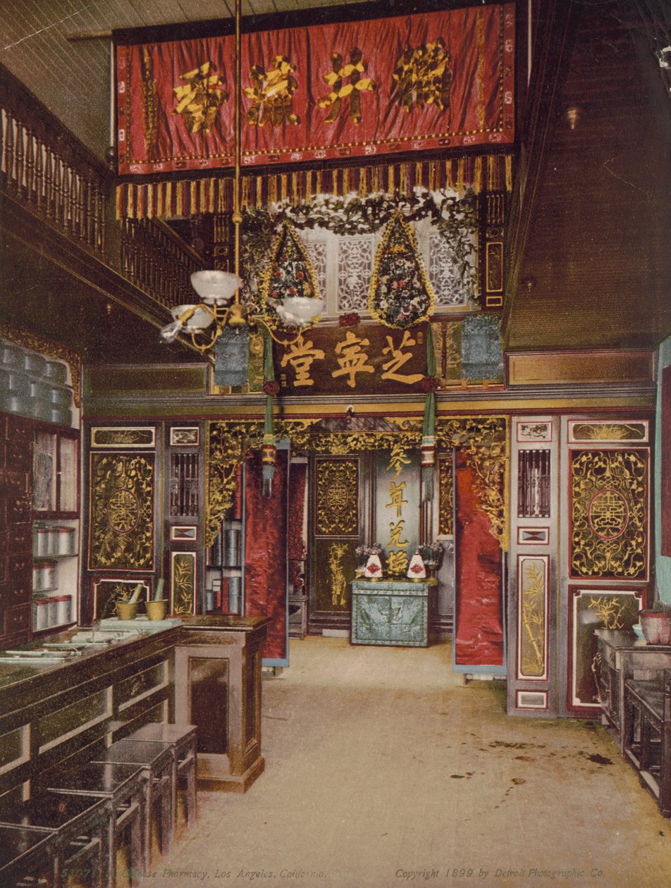 Kinesisk apotek, Los Angeles, California, 1899 av Detroit Photographic Co.