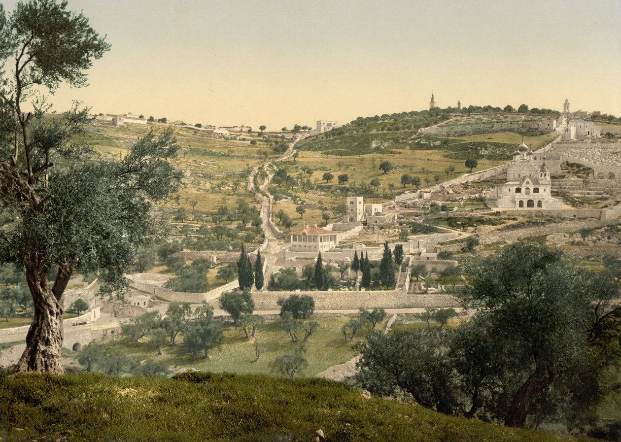 Oljeberget og Getsemane, generell utsikt, Jerusalem, ca. 1890-c. 1900 (fotokromtrykk) av Detroit Photographic Co.