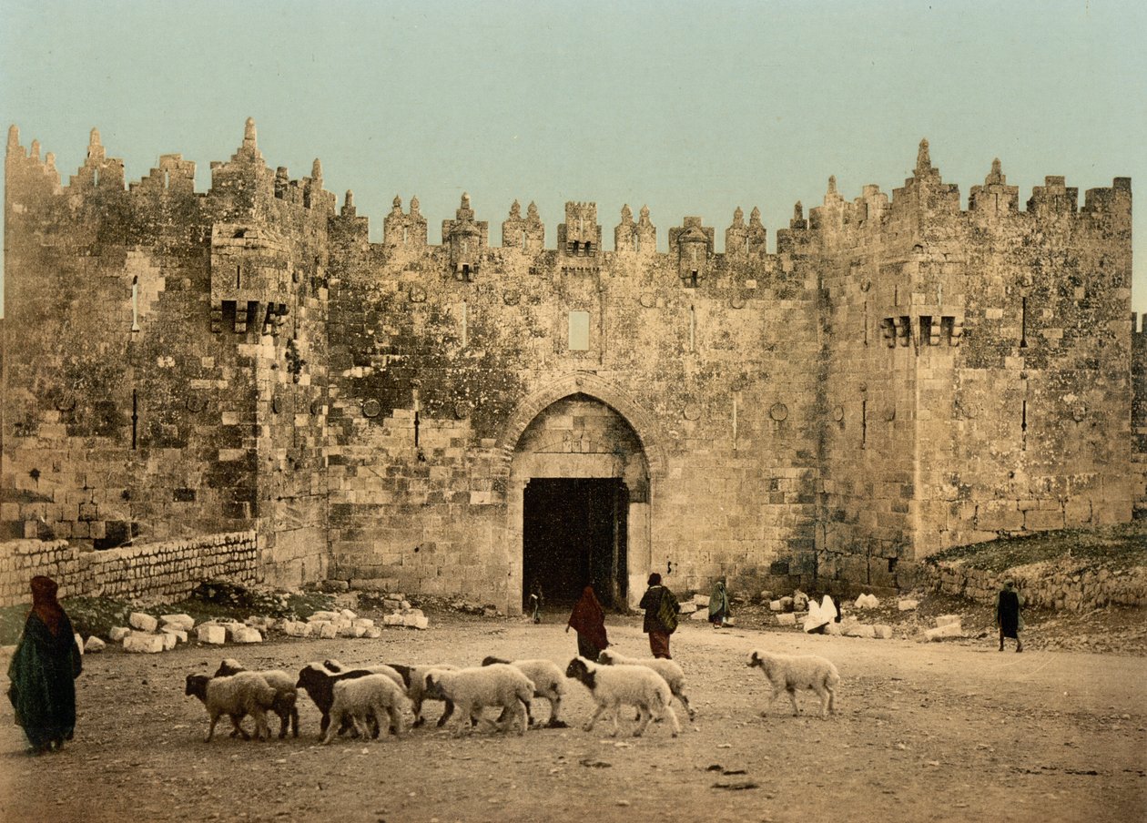 Damaskus-porten, Jerusalem, Det hellige land, ca. 1890-c. 1900 (fotokromtrykk) av Detroit Photographic Co.