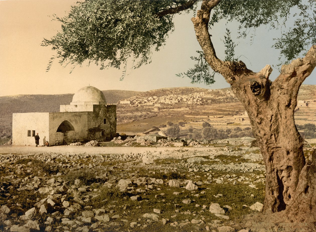 Rakels grav, Jerusalem, Det hellige land, ca. 1890-c. 1900 (fotokromtrykk) av Detroit Photographic Co.