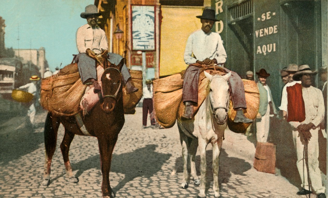 Grønnsaksmenn, Havana, Cuba, 1904. av Detroit Photographic Company