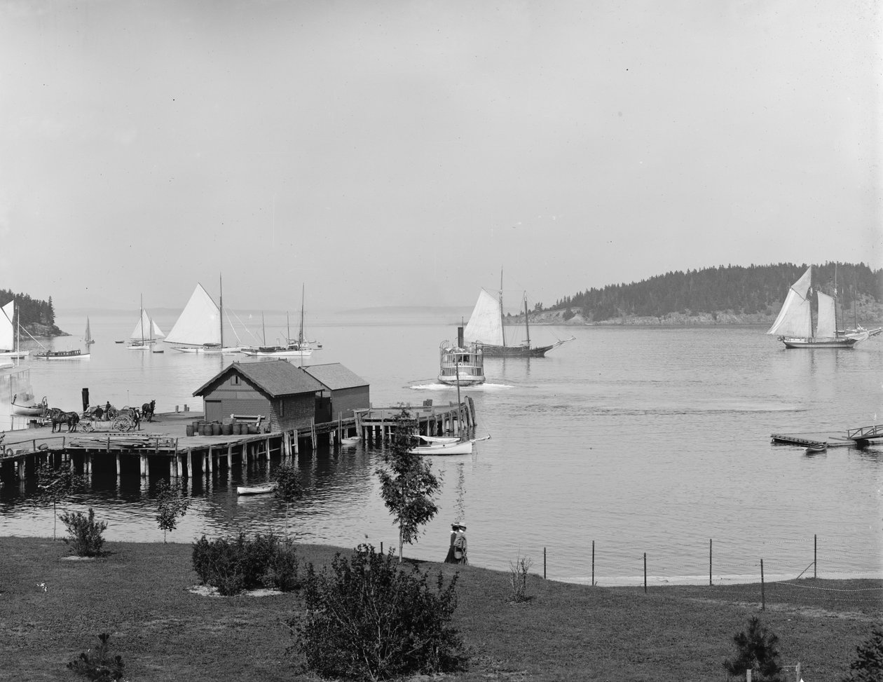 Bar Harbor, Mt. Desert Island, Maine, havnen fra Newport House, ca. 1901 av Detroit Publishing Co.