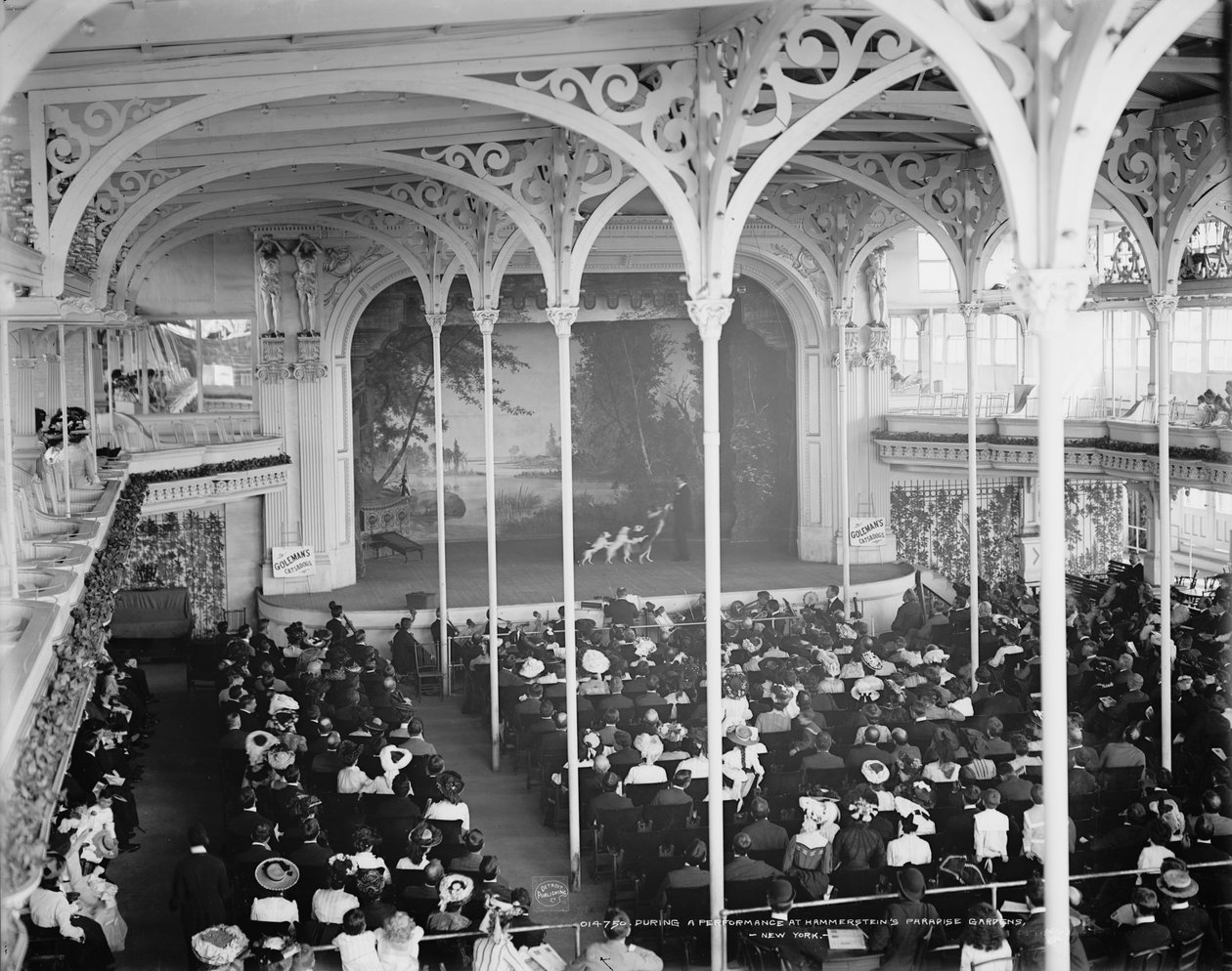 Under en forestilling i Hammerstein