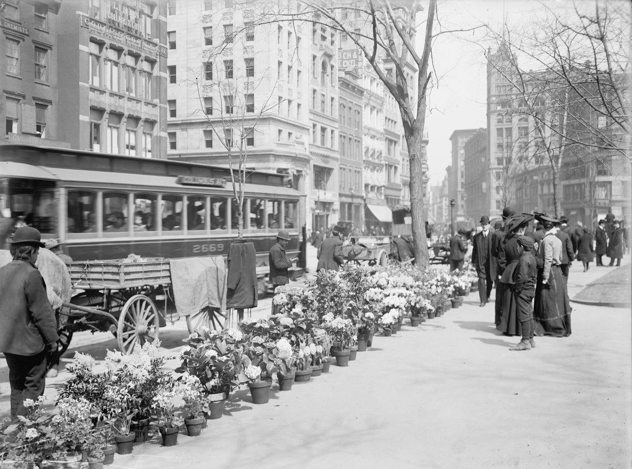 Flower Vendors, Easter Display, New York City, USA, ca. 1904 av Detroit Publishing Co.