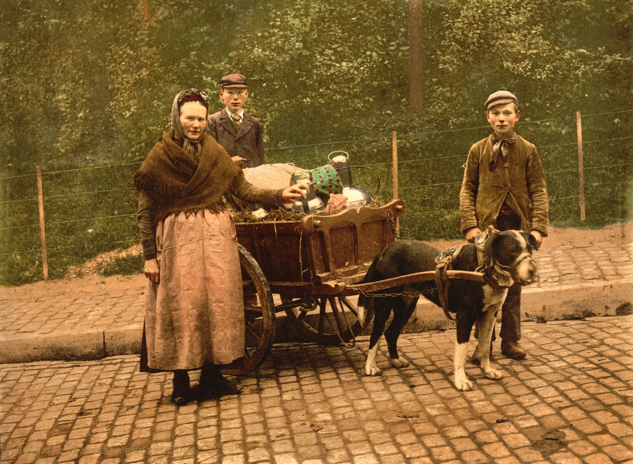 Melkeselgere, Brussel, Belgia, ca. 1900 av Detroit Publishing Co.