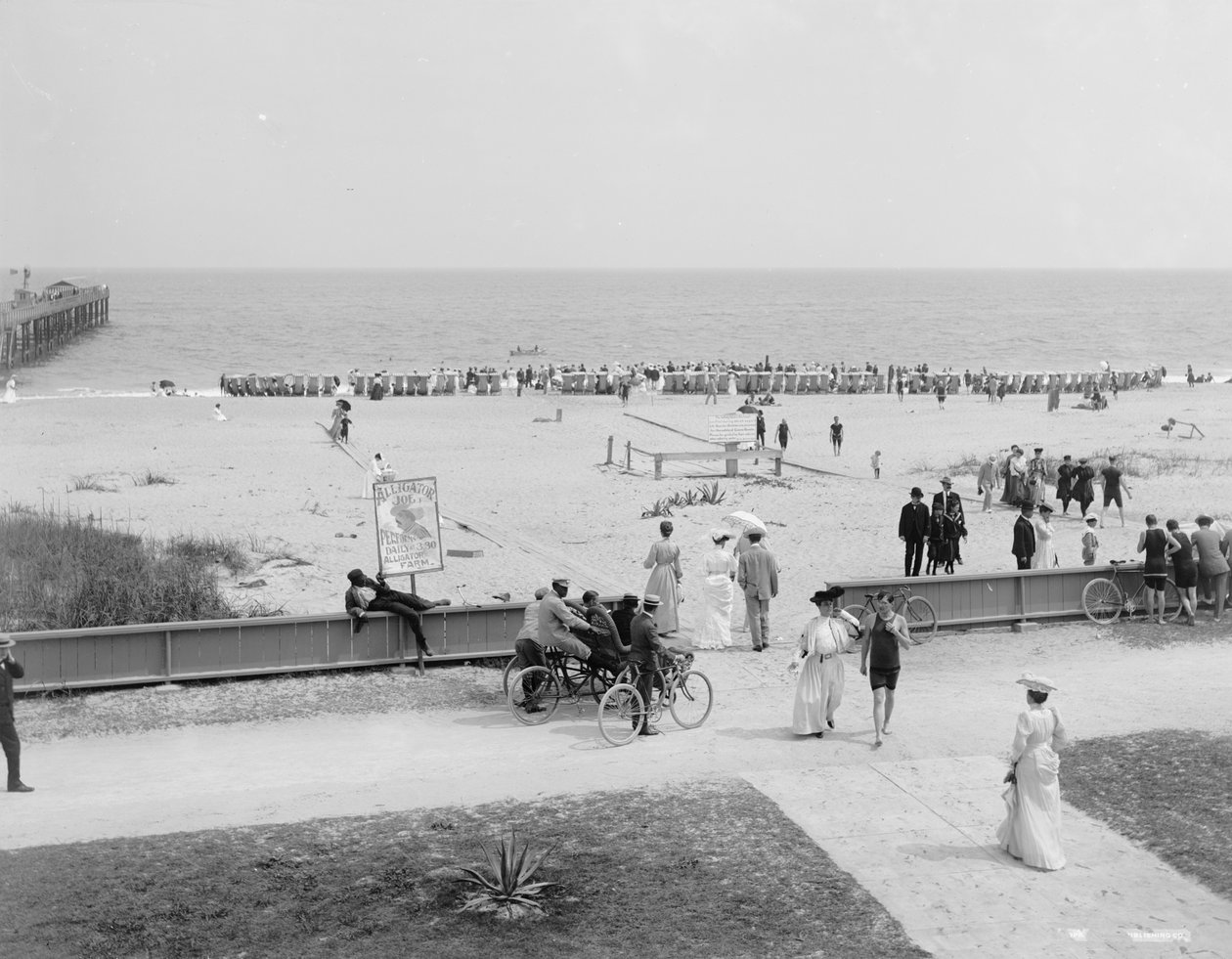 Palm Beach, Florida, ca. 1905 (s/hvitt-bilde) av Detroit Publishing Co.