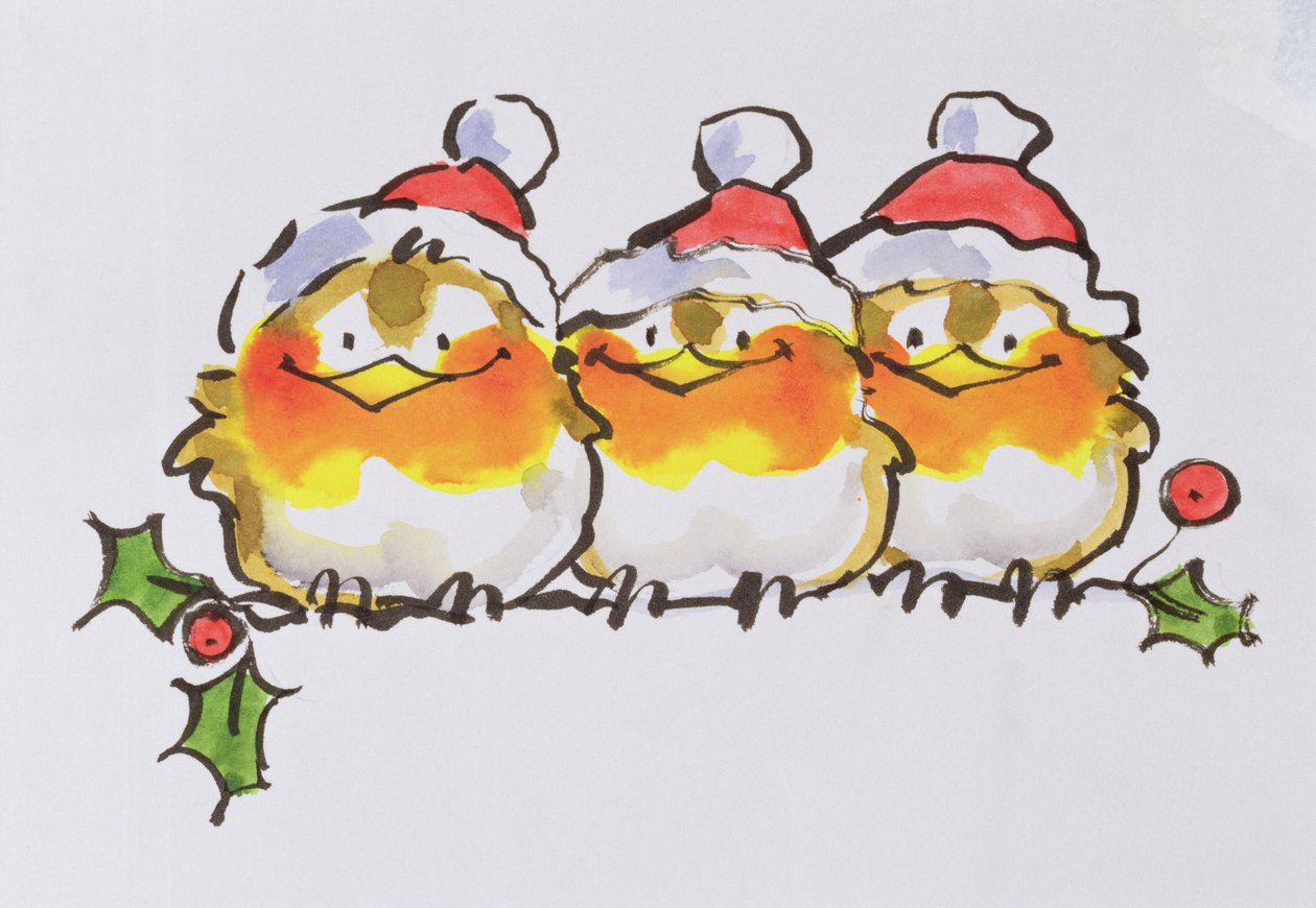 Christmas Robins (blekk og wc på papir) av Diane Matthes