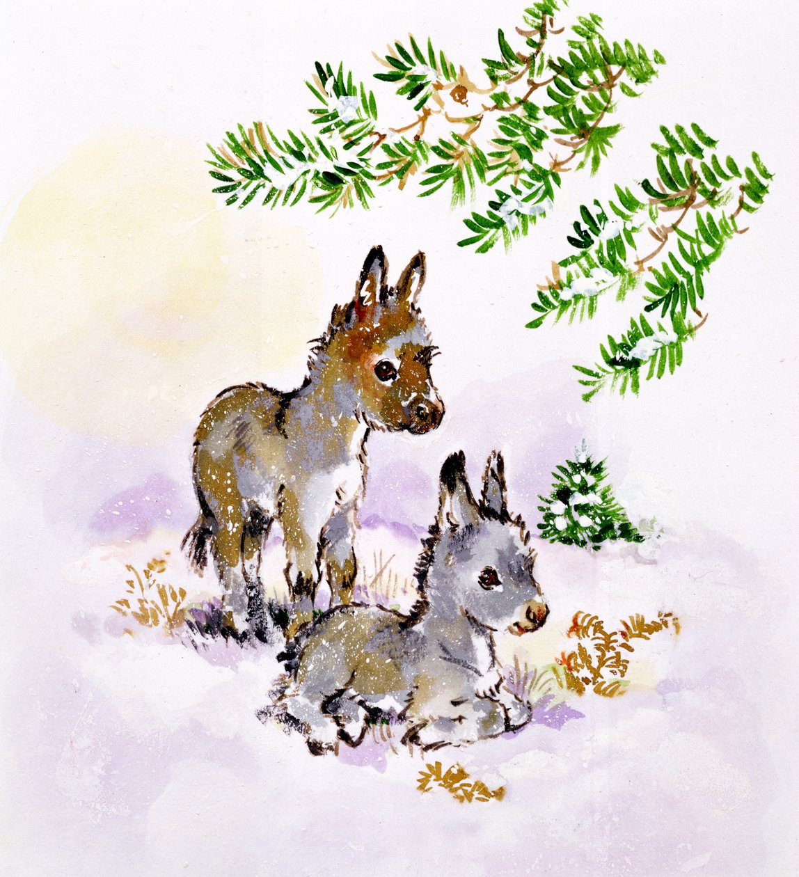 Esler av Diane Matthes