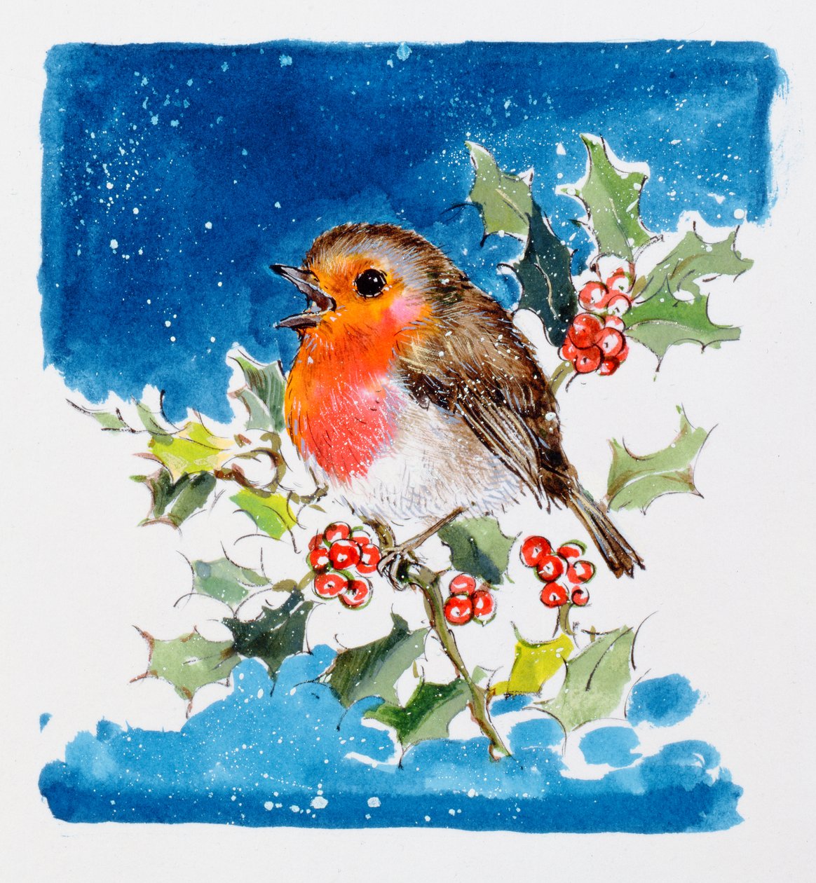 Robin Red-breast, 1996 (wc) av Diane Matthes
