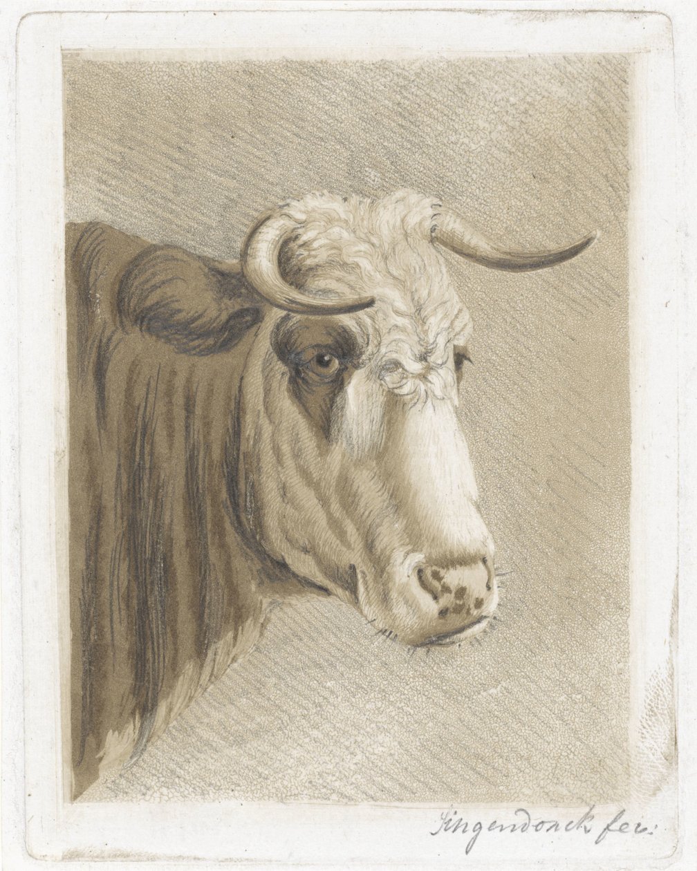 kakekopp av Diederik Jan Singendonck (signed by artist)