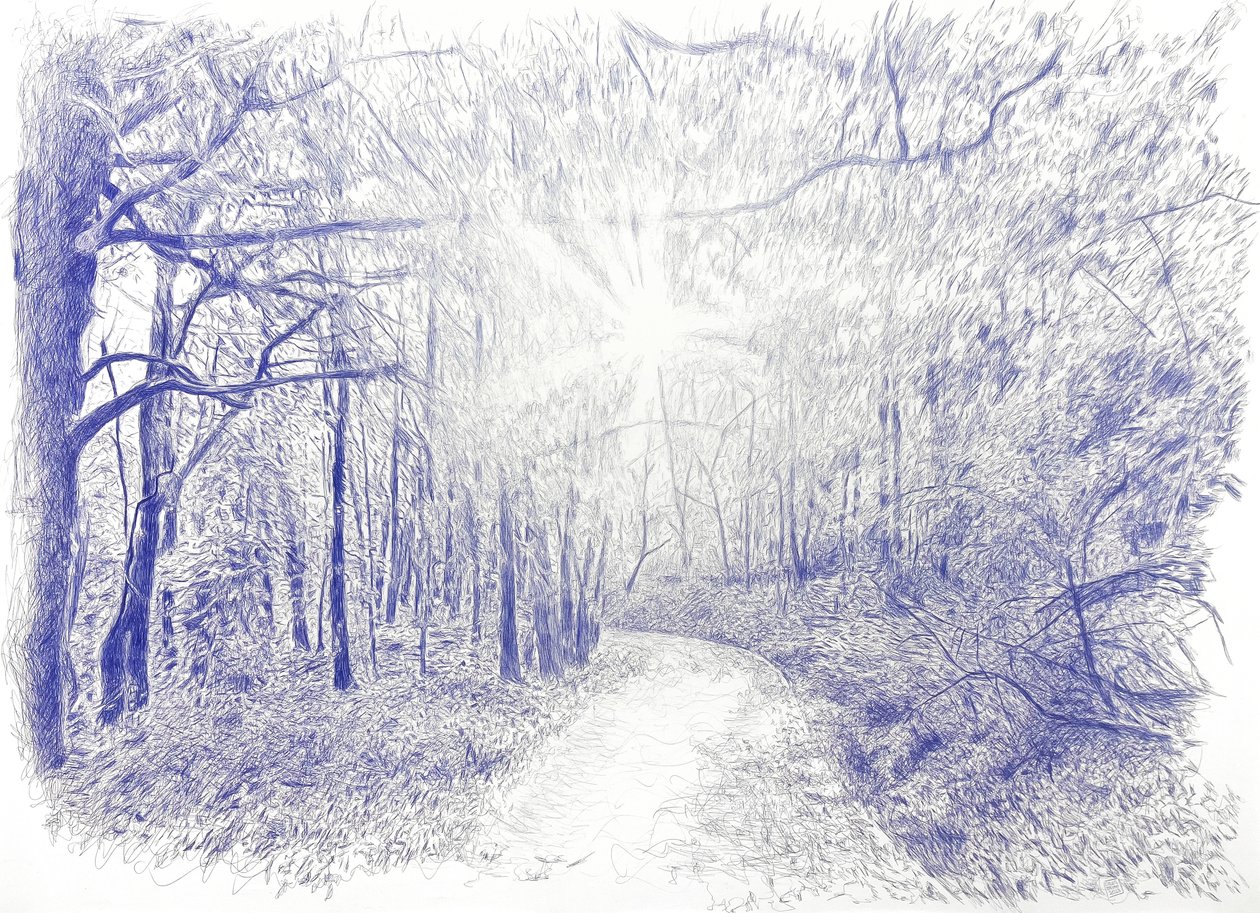 Skog i silhuett, 2023 (blekk på lerret) av Diego Beyro