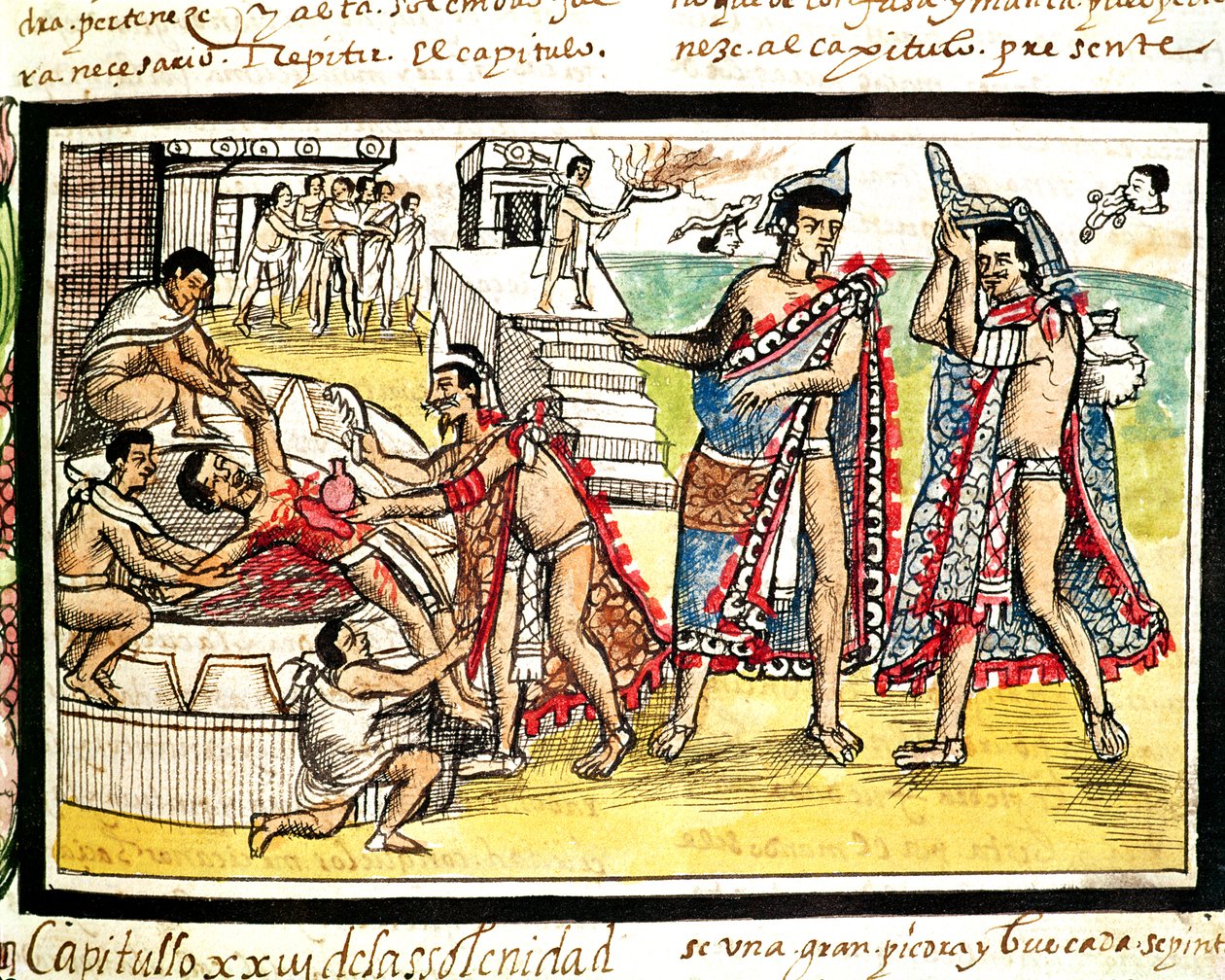 Fol.70v Human Sacrifice, fra 'Codex Duran' 1579 (vellum) av Diego Duran