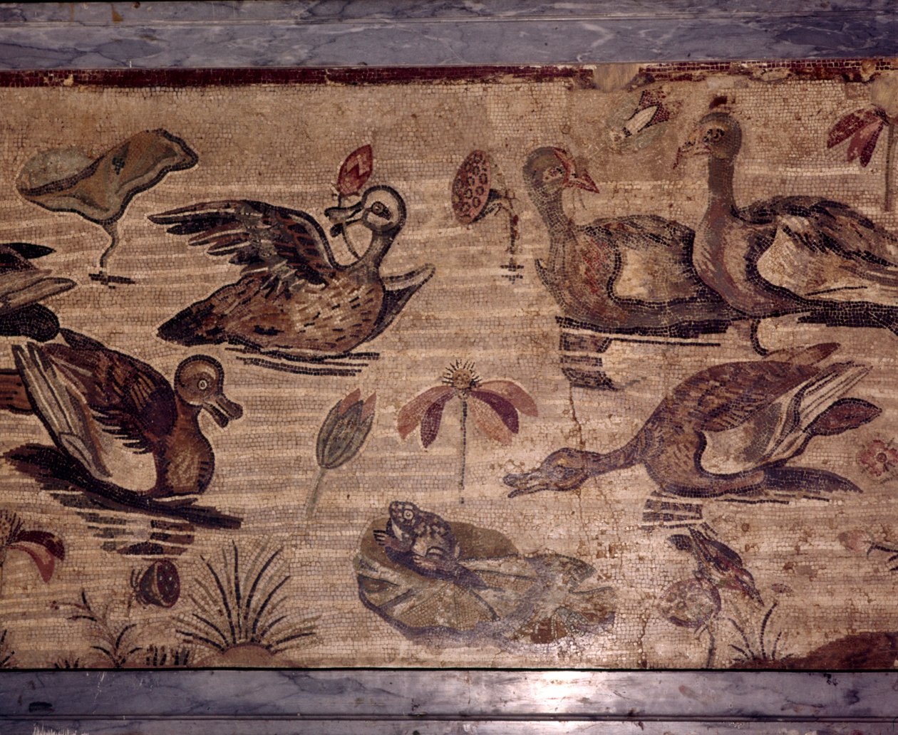 Romersk mosaikk fra Pompeii av ender og frosker i en vannhage, 1. århundre av Dioscurides of Samos