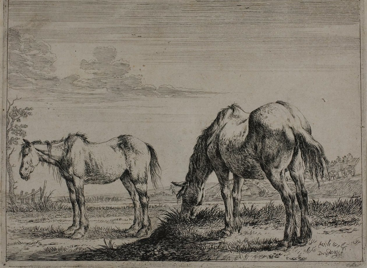 Grazing Horse, plate tre fra Series of Horses av Dirck Stoop